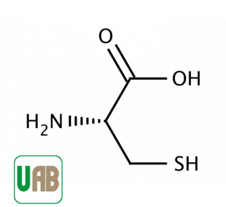L-cysteine - UAB