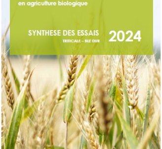 synthèse céréales secondaires 2024
