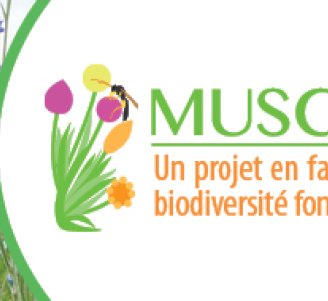 Bandeau logo MUSCARI
