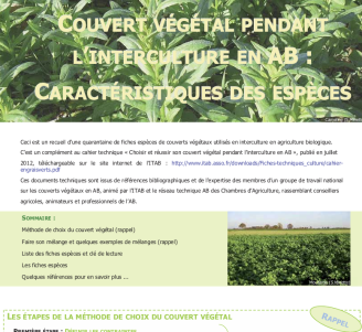 Couverture de la plaquette "couvert végétal pendant l’interculture en AB : 40 fiches espèces"