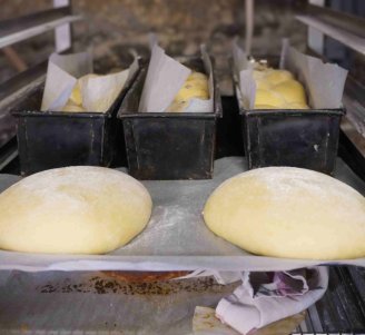 Pâtons en train de lever