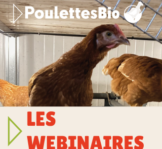 Visuel des webinaires 2026 du projet Poulettes Bio