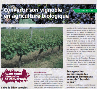 Fiches et cahiers Viticulture - 2003