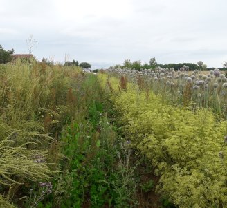 Illustration_Projet-MARAQUAS