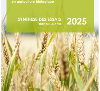 couverture synthèse céréales secondaires 2025