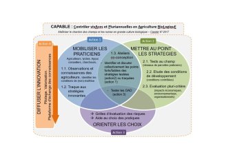 Les actions du projet CAPABLE