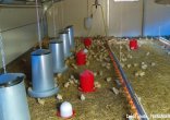 Projet TIBIOA