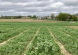 Photo Synergies Bio & Non Bio - Projet Cap Protéines + de Terres Inovia