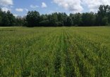 Photo du projet GRAAL-BBSOCOUL d'ARVALIS